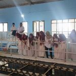 Implementasi Kimia Lingkungan, Mahasiswa Prodi Kimia Universitas Annuqayah Tinjau Pengolahan Air PDAM Tirta Jaya Pamekasan